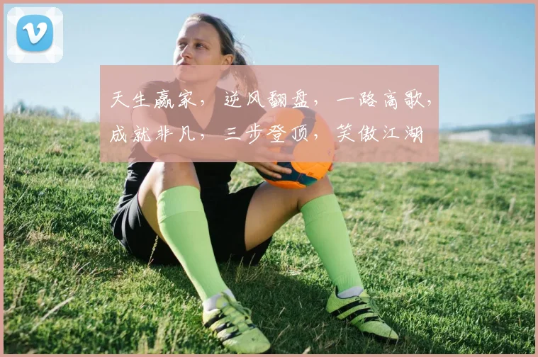 天生赢家，逆风翻盘，一路高歌，成就非凡，三步登顶，笑傲江湖