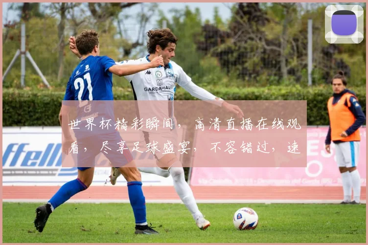 世界杯精彩瞬间，高清直播在线观看，尽享足球盛宴，不容错过，速来一睹为快