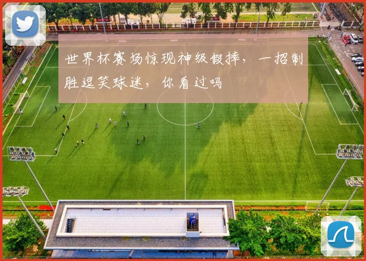 世界杯赛场惊现神级假摔，一招制胜逗笑球迷，你看过吗