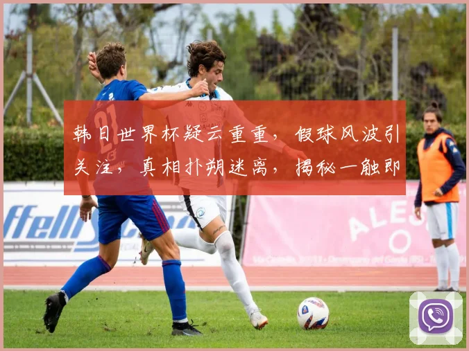 韩日世界杯疑云重重，假球风波引关注，真相扑朔迷离，揭秘一触即发