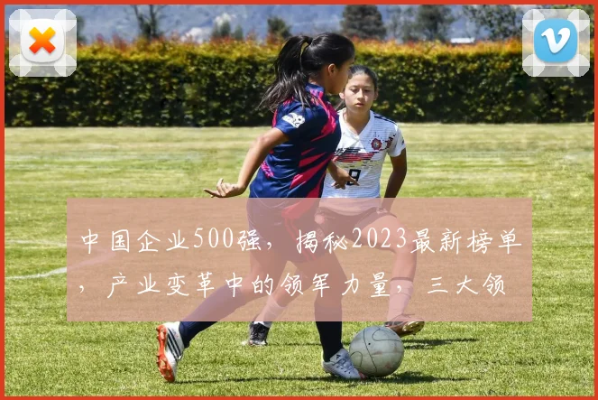 中国企业500强，揭秘2023最新榜单，产业变革中的领军力量，三大领域佼佼者，瞩目，关注